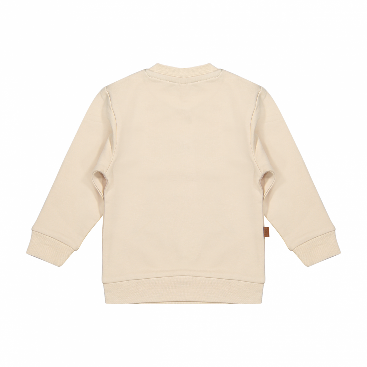 Schildkröten-Sweatshirt | Beige