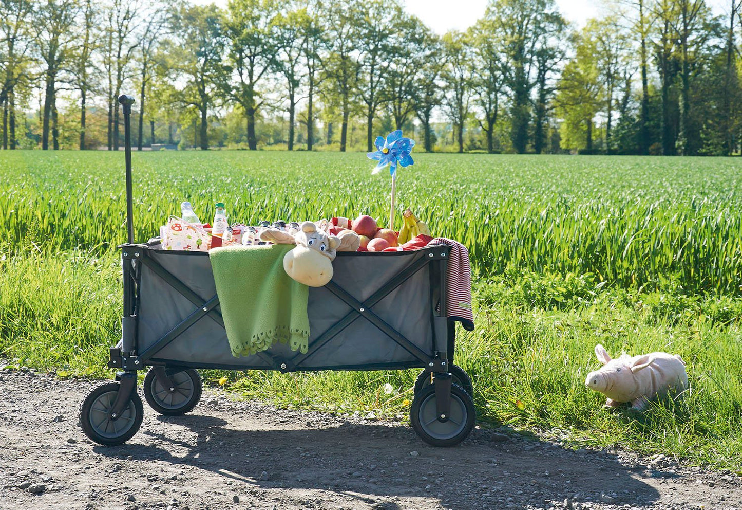 Faltbarer Bollerwagen 'Porti', grau